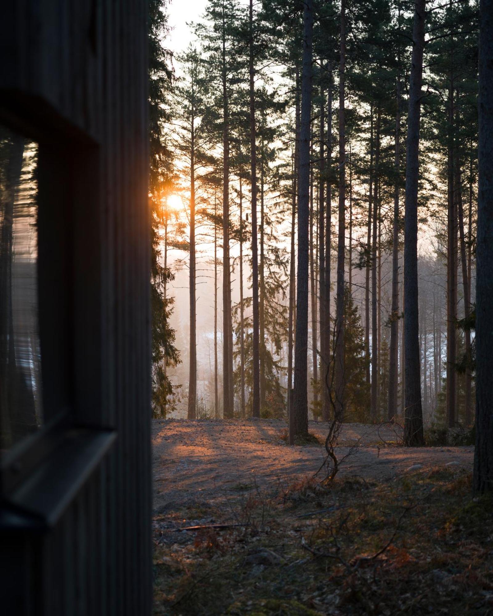 Trakt Forest Hotel Skogssviter Holsbybrunn ภายนอก รูปภาพ