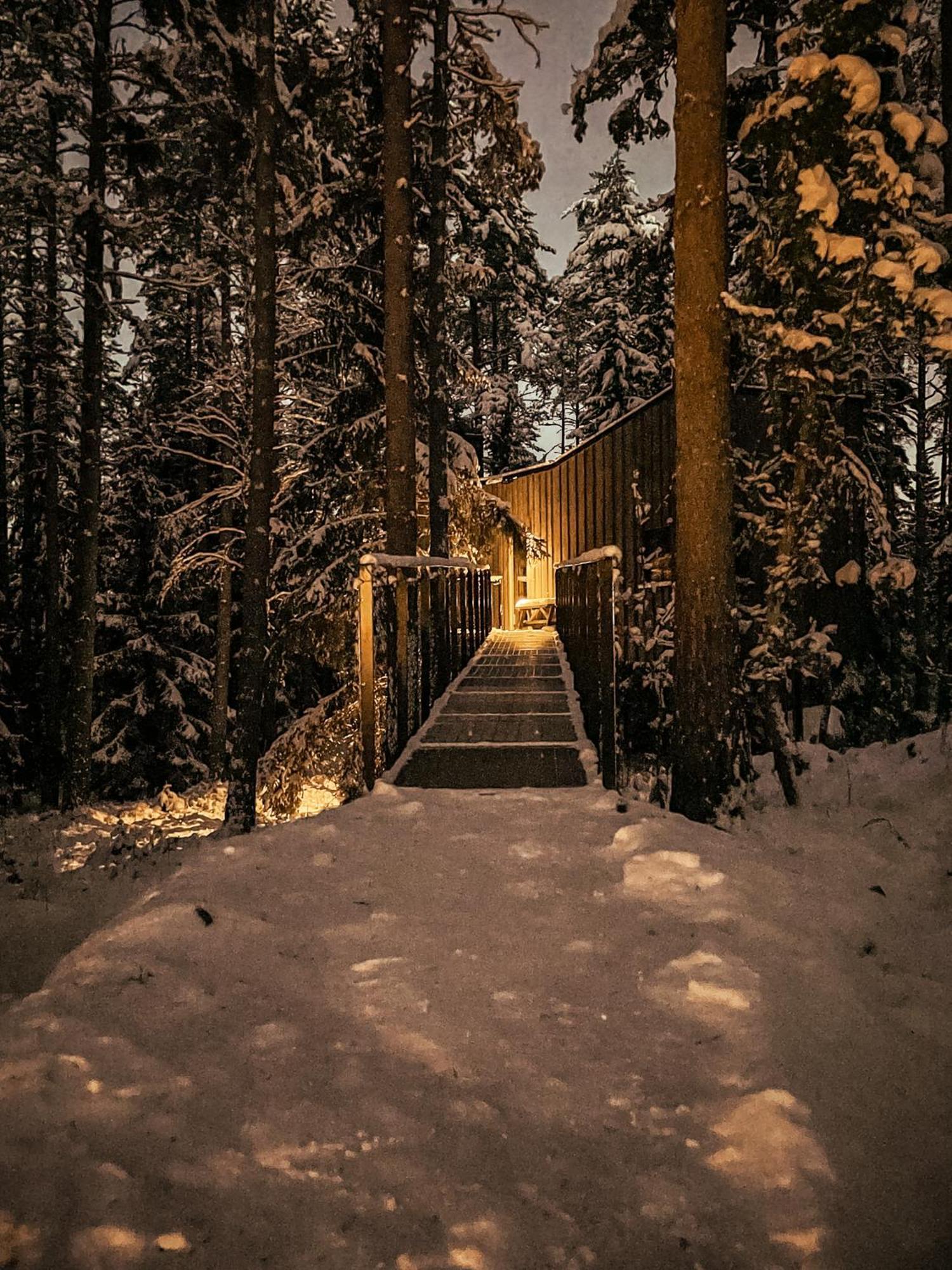 Trakt Forest Hotel Skogssviter Holsbybrunn ภายนอก รูปภาพ