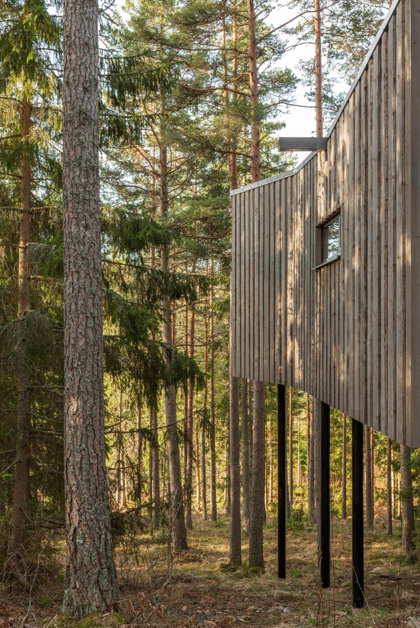Trakt Forest Hotel Skogssviter Holsbybrunn ภายนอก รูปภาพ