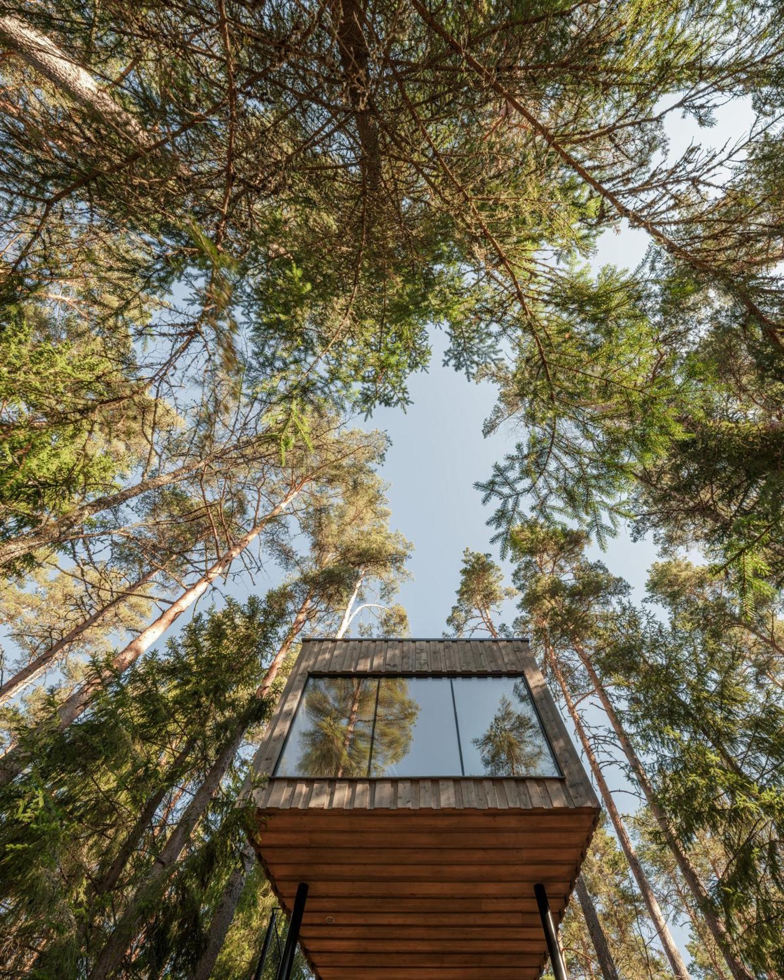 Trakt Forest Hotel Skogssviter Holsbybrunn ภายนอก รูปภาพ