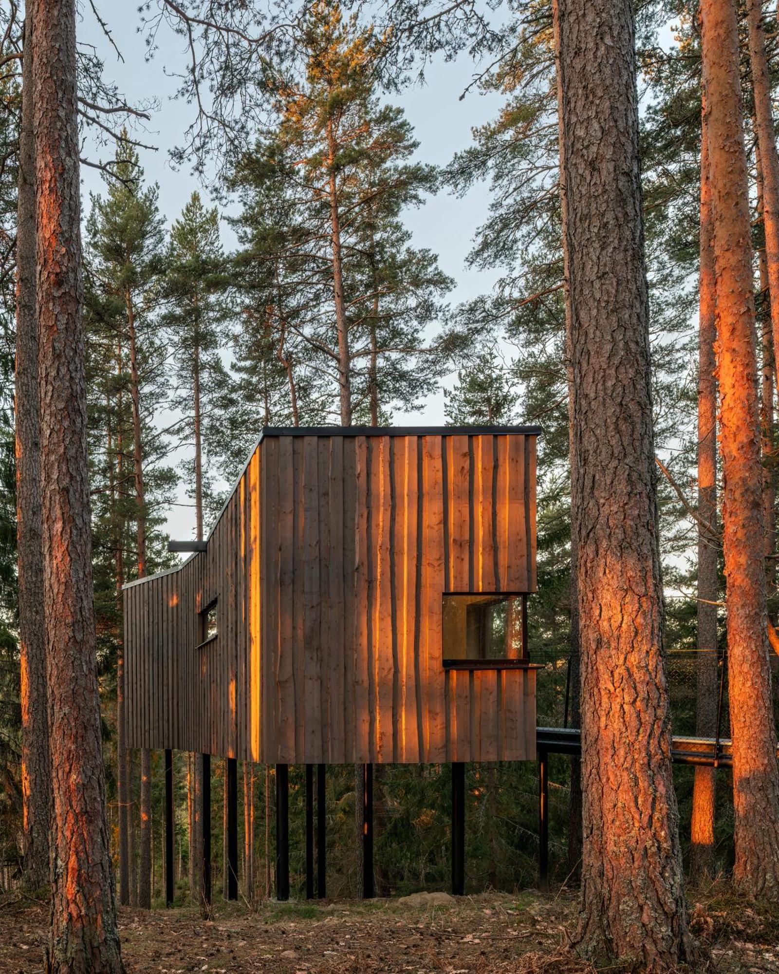 Trakt Forest Hotel Skogssviter Holsbybrunn ภายนอก รูปภาพ